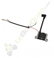 Bobine d'allumage 65cc