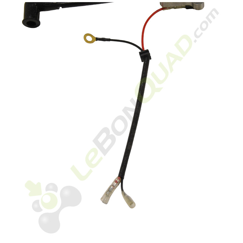 Bobine d'allumage 65cc