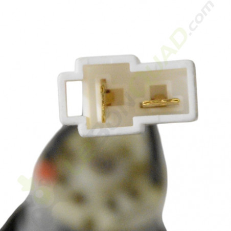 Moteur électrique universel 4x4 12V