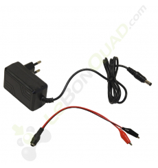 Chargeur 12V + adaptateur pince pour voiture électrique enfant