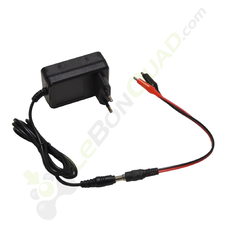 Chargeur 12V + adaptateur pince pour voiture électrique enfant