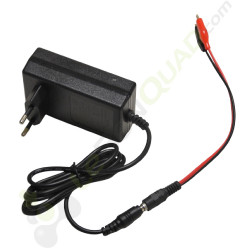 Chargeur 24V + adaptateur pour voiture électrique enfant