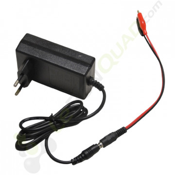 Chargeur 24V + adaptateur pour voiture électrique enfant