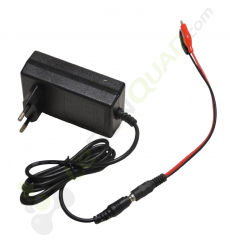 Chargeur 24V + adaptateur pour voiture électrique enfant