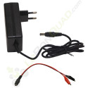 Chargeur 24V + adaptateur pour voiture électrique enfant