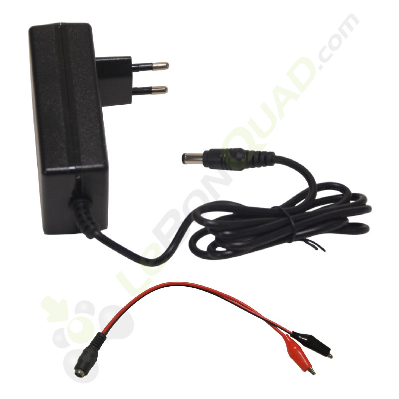 Chargeur 24V + adaptateur pour voiture électrique enfant