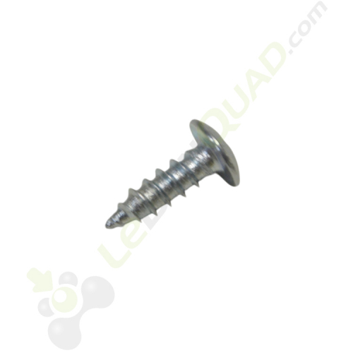 Vis assemblage 4x12 diamètre tête 8 mm