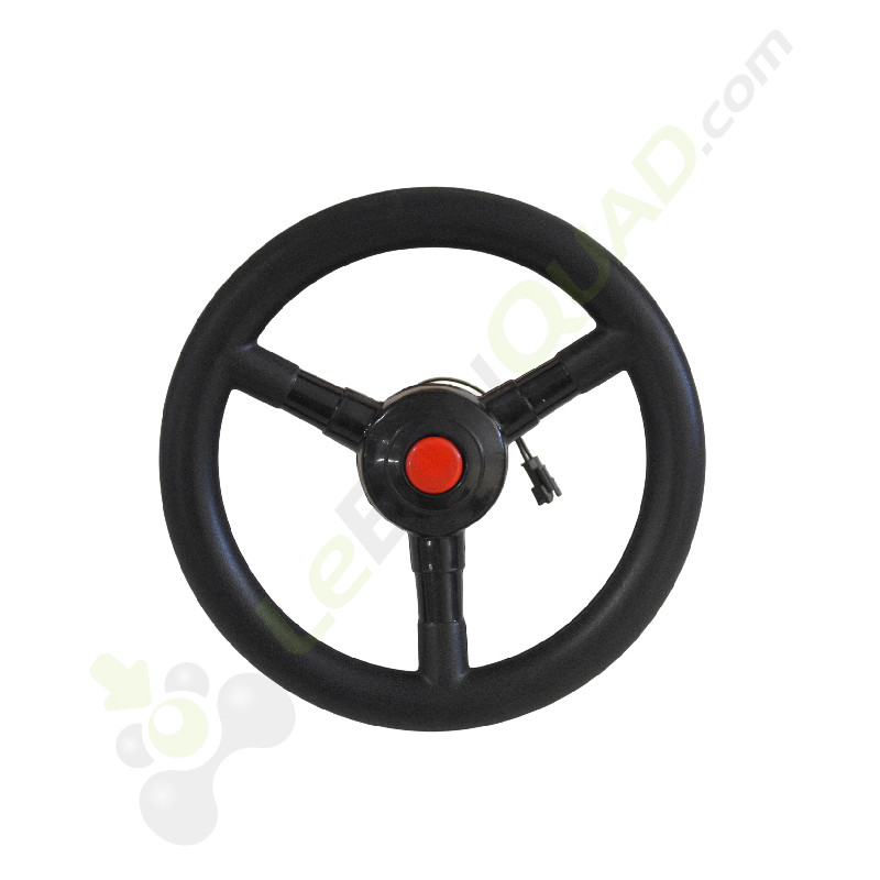 Volant de 4x4 12V, diamètre 19