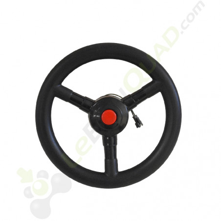 Volant de 4x4 12V, diamètre 19