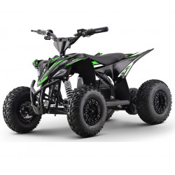 Quad électrique 36V LBQ OTTAWA moteur 1200W transmission chaîne