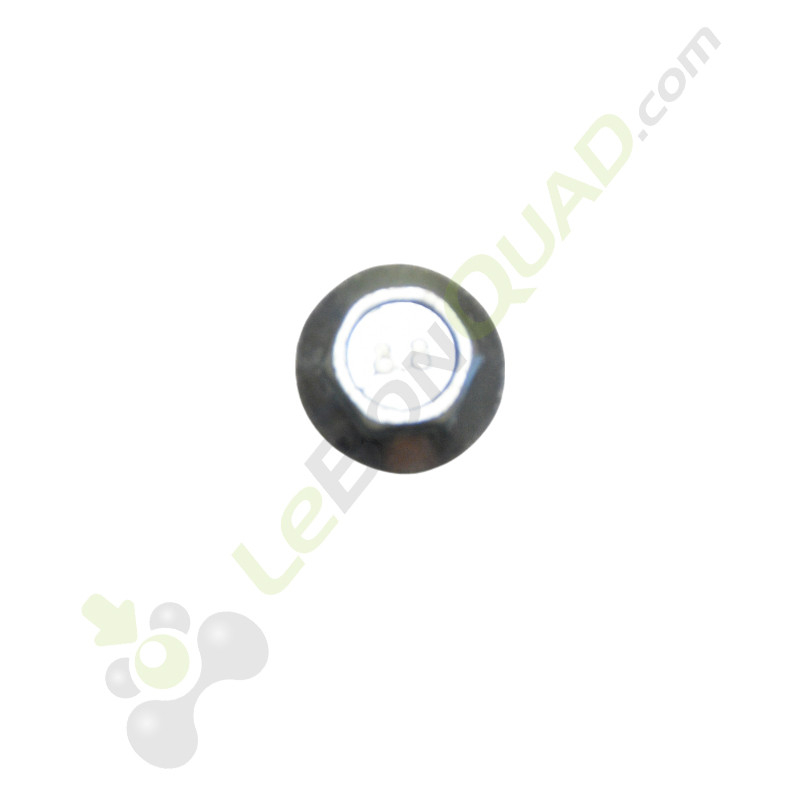 Vis M8x20 de Quad et pit bike