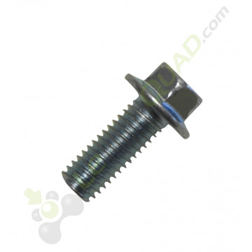 Vis M8x20 de Quad et pit bike