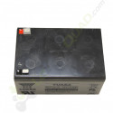 Batterie YUASA 12V14Ah pour voiture enfant