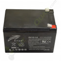 Batterie RITAR 12V14Ah pour voiture enfant