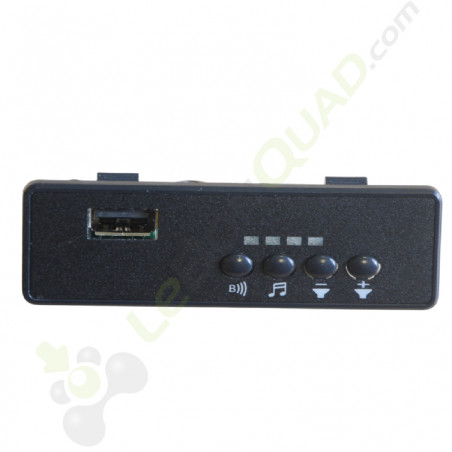 Poste de musique pour 4x4 enfant 12V