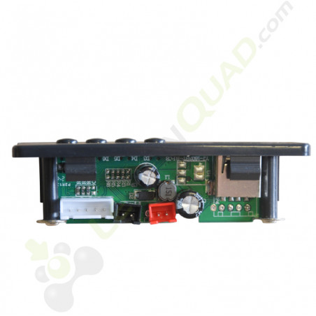 Poste de musique pour 4x4 enfant 12V