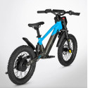 Draisienne Électrique DRAXY 600W 18" - DIAMON
