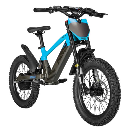 Draisienne Électrique DRAXY 600W 18" - DIAMON