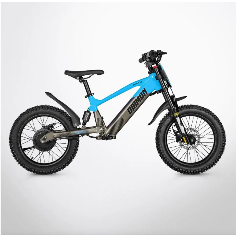 Draisienne Électrique DRAXY 600W 18" - DIAMON