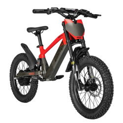 Draisienne Électrique DRAXY 600W 18" - DIAMON