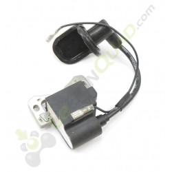 Bobine d'allumage de pocket
