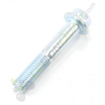 Vis M10x60 de Quad et pit bike