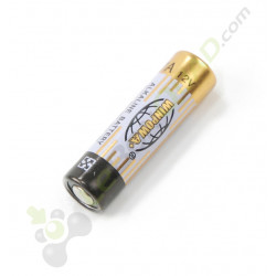 Pile 27A-12V pour télécommande de Quad 110 et quad 125