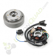 Allumage rotor + stator pour moteur démarreur électrique de Quad 110 et quad 125