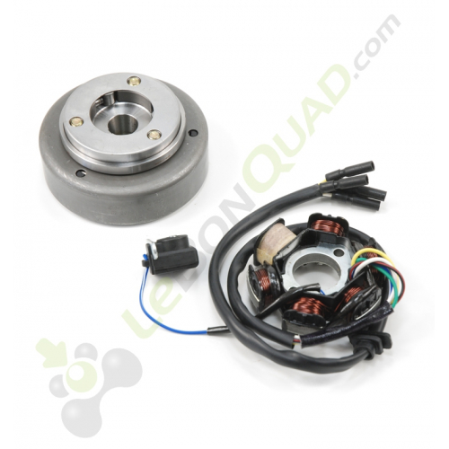 Allumage rotor + stator pour moteur démarreur électrique de Quad 110 et quad 125