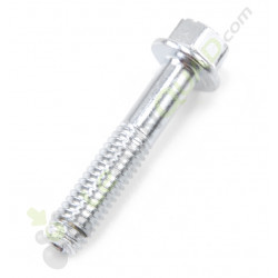 Vis chromé M6x55 de Quad et dirt bike