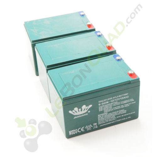 Pack 3 batterie 6-DZM-12 12V12Ah de quad pocket électrique E-Rex - Quad enfant Pack 3 batterie 6-DZM-12 12V12Ah de quad pocket électrique E-Rex - Quad enfant