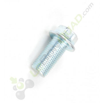 Vis M12x25 de Quad et dirt bike