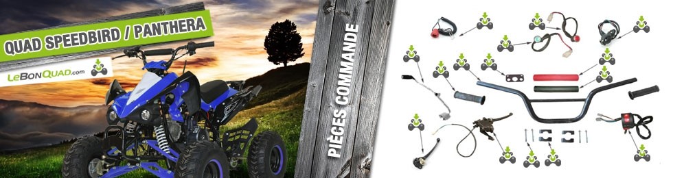 Guidon / Commande - Quad enfant Guidon / Commande - Quad enfant