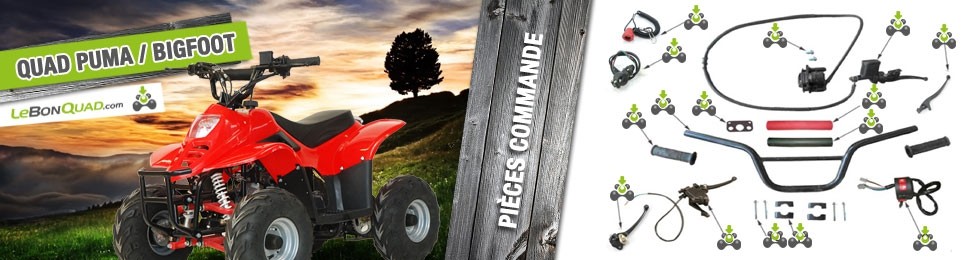 Guidon / Commande - Quad enfant Guidon / Commande - Quad enfant